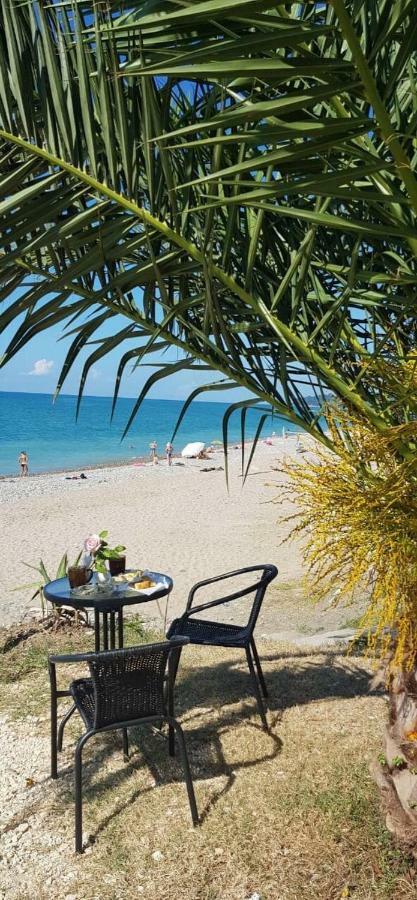 Leon Beach Hotel New Athos Экстерьер фото